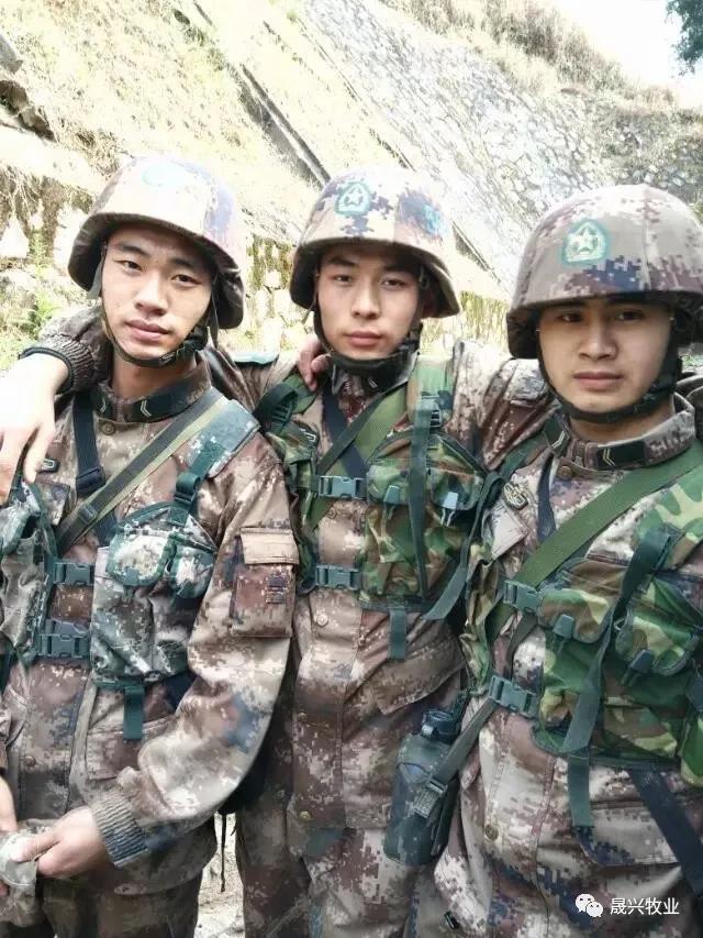 腾博会·诚信为本,专业效劳_官方网站