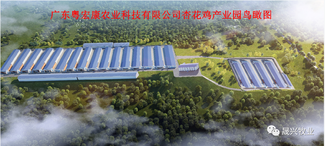 腾博会官方网站集团
