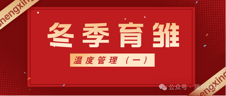 养鸡装备